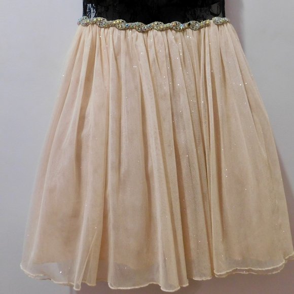 Black and Pink Lace / Tulle Formal Dress - Picture 7 of 9